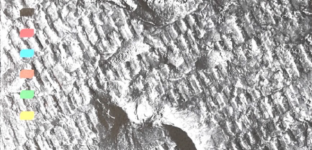 Topografie povrchu kamene a její aplikace v oblasti restaurování kamenných prvků